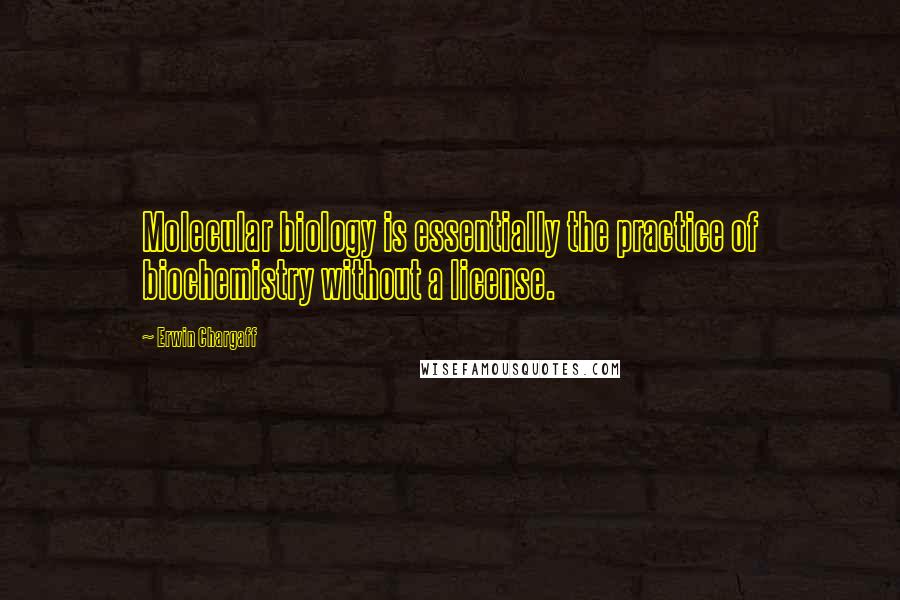 Erwin Chargaff Quotes: Molecular biology is essentially the practice of biochemistry without a license.