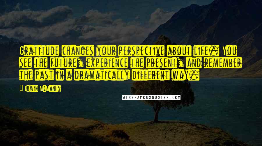 Erwin McManus Quotes: Gratitude changes your perspective about life. You see the future, experience the present, and remember the past in a dramatically different way.