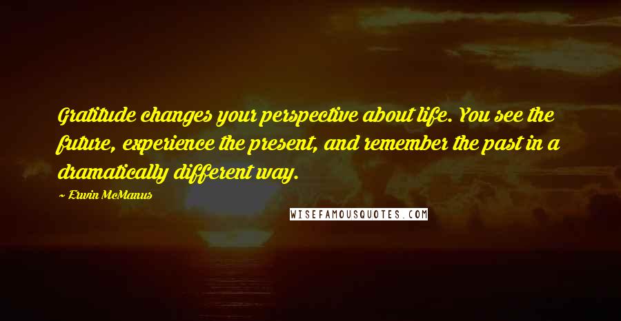 Erwin McManus Quotes: Gratitude changes your perspective about life. You see the future, experience the present, and remember the past in a dramatically different way.