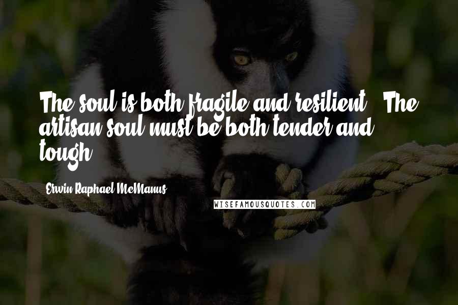 Erwin Raphael McManus Quotes: The soul is both fragile and resilient...The artisan soul must be both tender and tough.