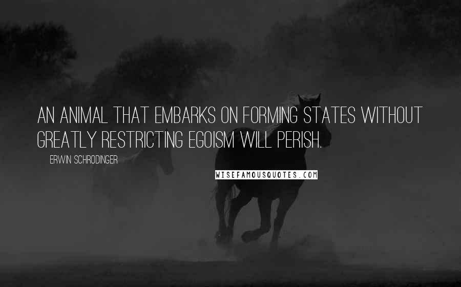 Erwin Schrodinger Quotes: An animal that embarks on forming states without greatly restricting egoism will perish.