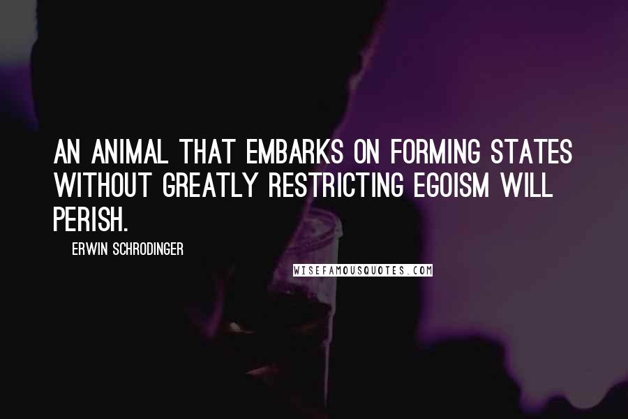 Erwin Schrodinger Quotes: An animal that embarks on forming states without greatly restricting egoism will perish.