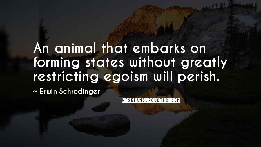 Erwin Schrodinger Quotes: An animal that embarks on forming states without greatly restricting egoism will perish.