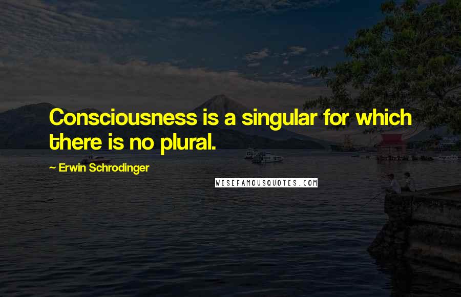 Erwin Schrodinger Quotes: Consciousness is a singular for which there is no plural.