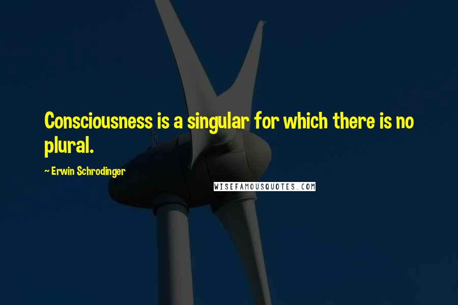 Erwin Schrodinger Quotes: Consciousness is a singular for which there is no plural.