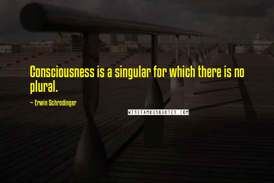 Erwin Schrodinger Quotes: Consciousness is a singular for which there is no plural.