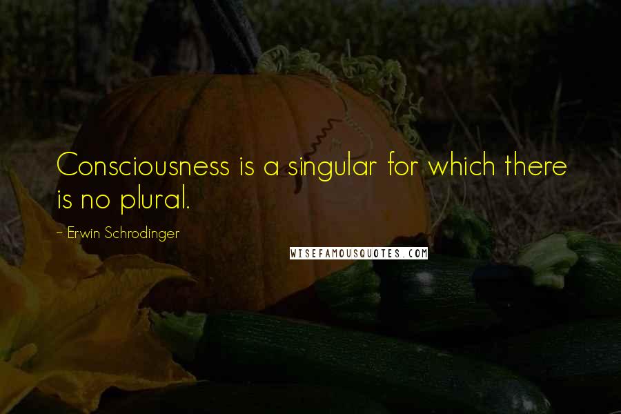 Erwin Schrodinger Quotes: Consciousness is a singular for which there is no plural.