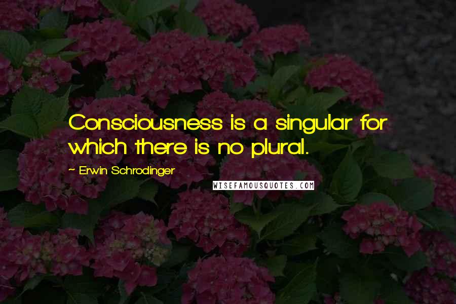 Erwin Schrodinger Quotes: Consciousness is a singular for which there is no plural.