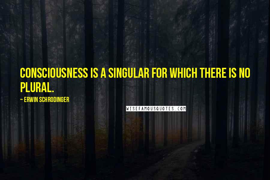 Erwin Schrodinger Quotes: Consciousness is a singular for which there is no plural.