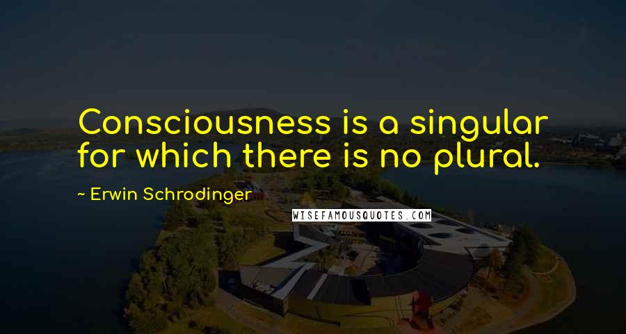 Erwin Schrodinger Quotes: Consciousness is a singular for which there is no plural.