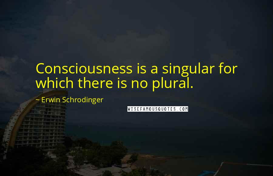 Erwin Schrodinger Quotes: Consciousness is a singular for which there is no plural.