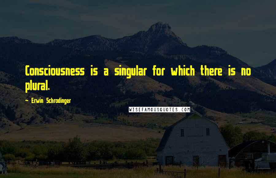 Erwin Schrodinger Quotes: Consciousness is a singular for which there is no plural.