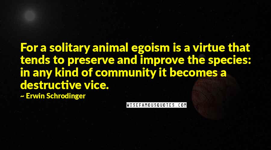Erwin Schrodinger Quotes: For a solitary animal egoism is a virtue that tends to preserve and improve the species: in any kind of community it becomes a destructive vice.