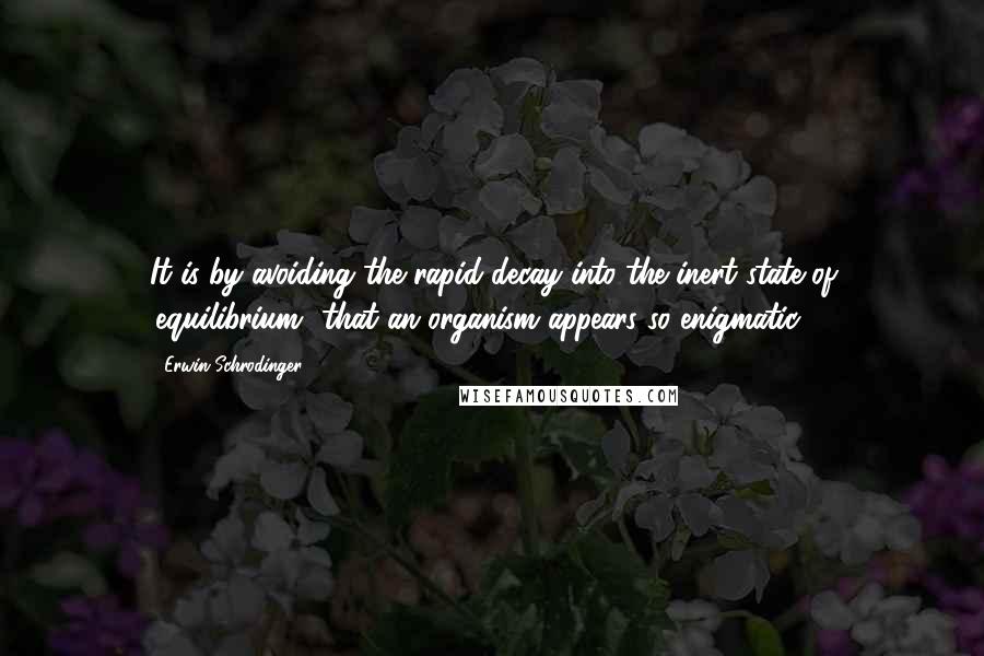 Erwin Schrodinger Quotes: It is by avoiding the rapid decay into the inert state of 'equilibrium' that an organism appears so enigmatic;