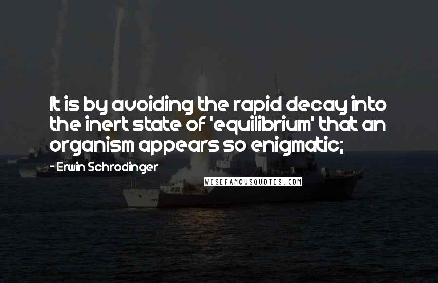 Erwin Schrodinger Quotes: It is by avoiding the rapid decay into the inert state of 'equilibrium' that an organism appears so enigmatic;