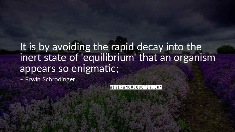 Erwin Schrodinger Quotes: It is by avoiding the rapid decay into the inert state of 'equilibrium' that an organism appears so enigmatic;