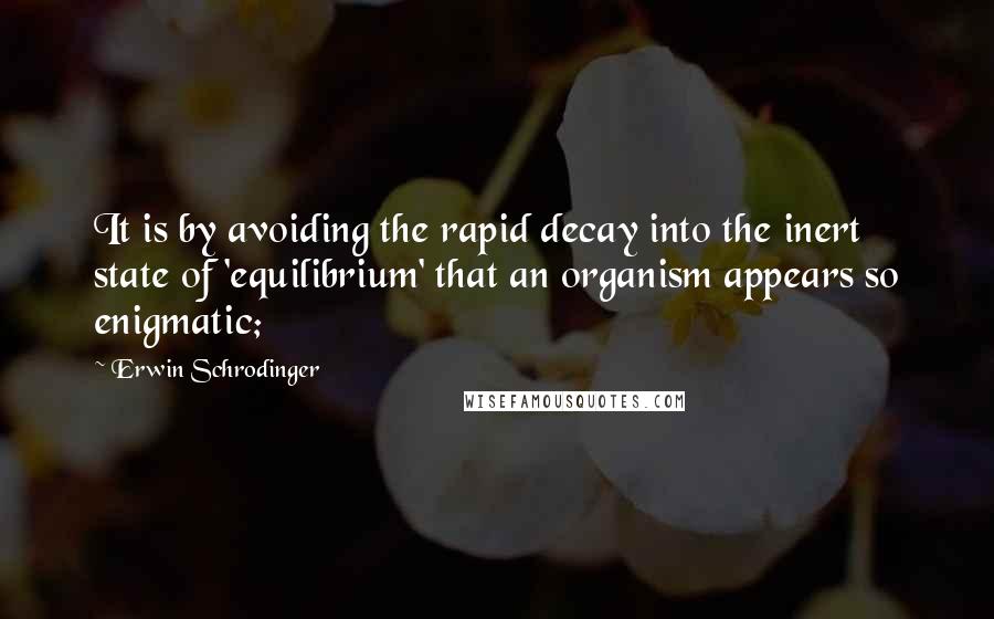 Erwin Schrodinger Quotes: It is by avoiding the rapid decay into the inert state of 'equilibrium' that an organism appears so enigmatic;