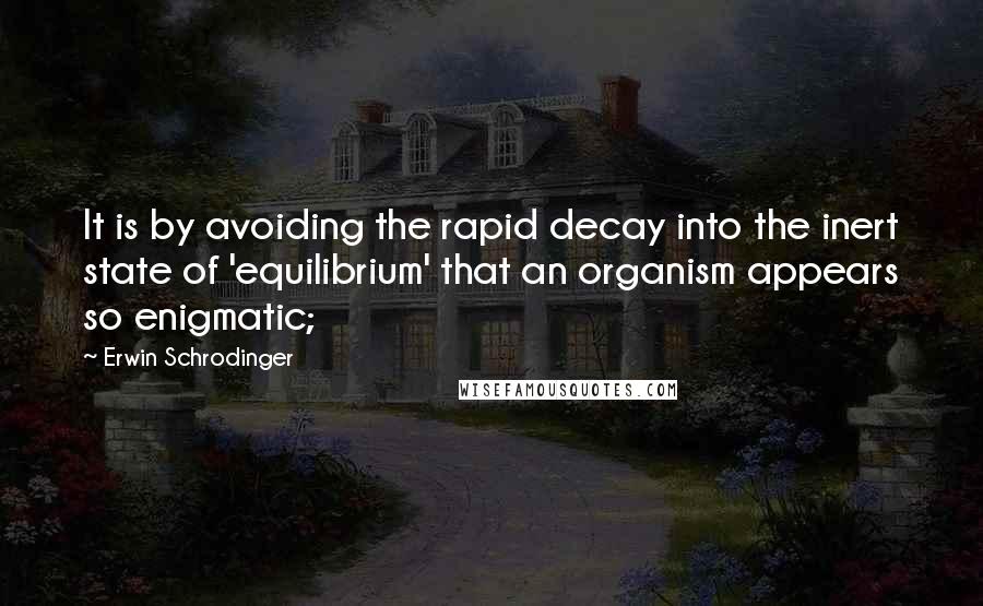 Erwin Schrodinger Quotes: It is by avoiding the rapid decay into the inert state of 'equilibrium' that an organism appears so enigmatic;