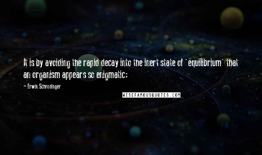 Erwin Schrodinger Quotes: It is by avoiding the rapid decay into the inert state of 'equilibrium' that an organism appears so enigmatic;