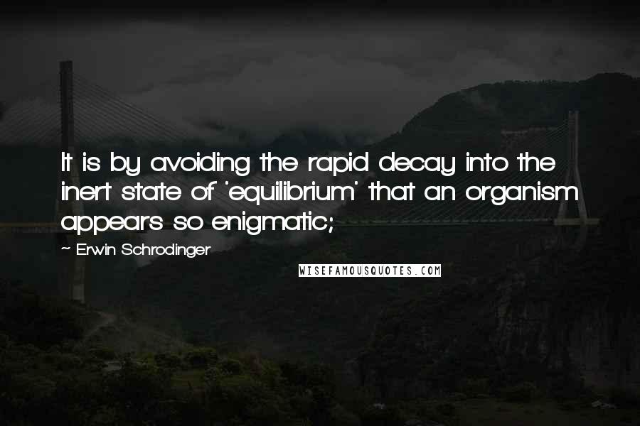 Erwin Schrodinger Quotes: It is by avoiding the rapid decay into the inert state of 'equilibrium' that an organism appears so enigmatic;