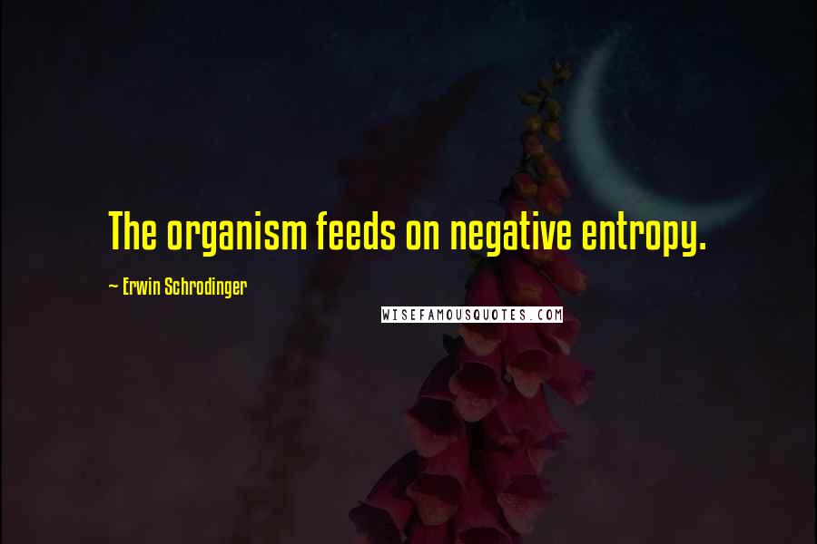 Erwin Schrodinger Quotes: The organism feeds on negative entropy.