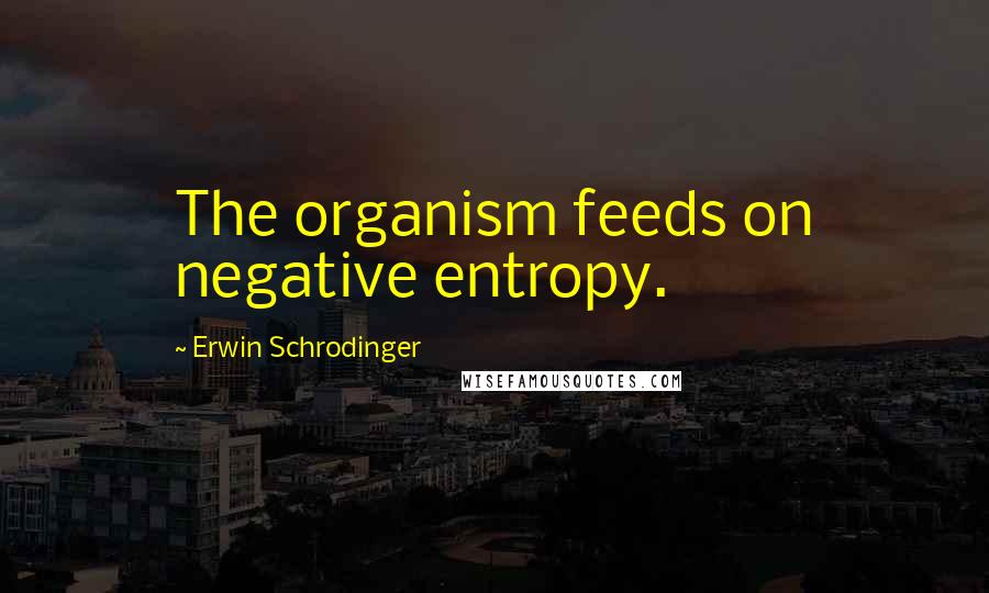 Erwin Schrodinger Quotes: The organism feeds on negative entropy.