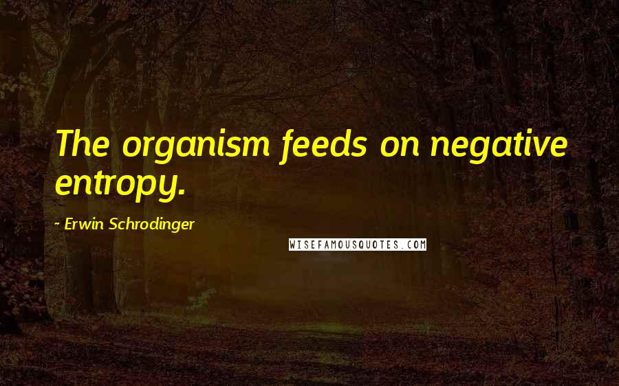 Erwin Schrodinger Quotes: The organism feeds on negative entropy.