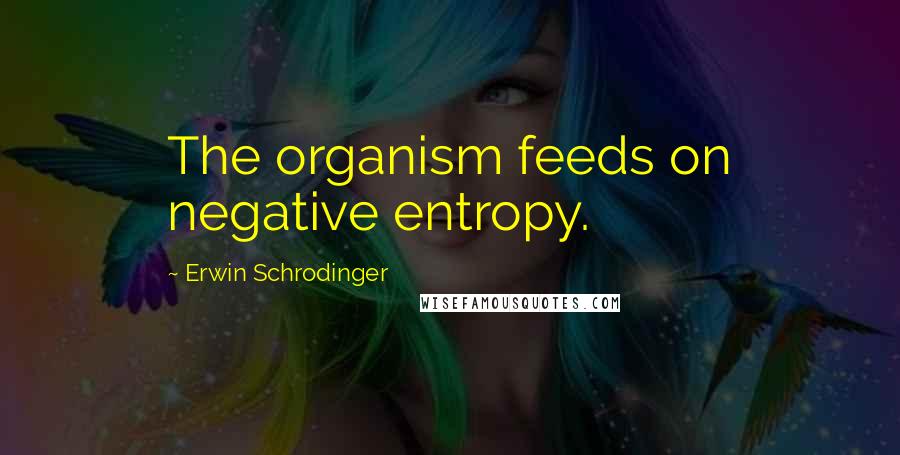 Erwin Schrodinger Quotes: The organism feeds on negative entropy.