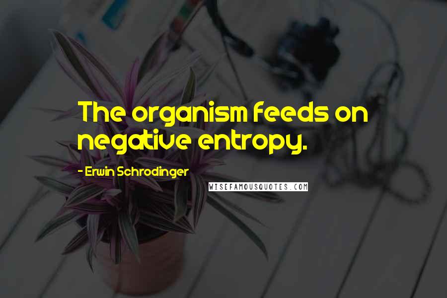 Erwin Schrodinger Quotes: The organism feeds on negative entropy.