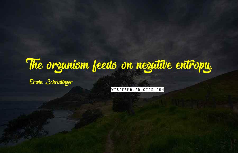 Erwin Schrodinger Quotes: The organism feeds on negative entropy.