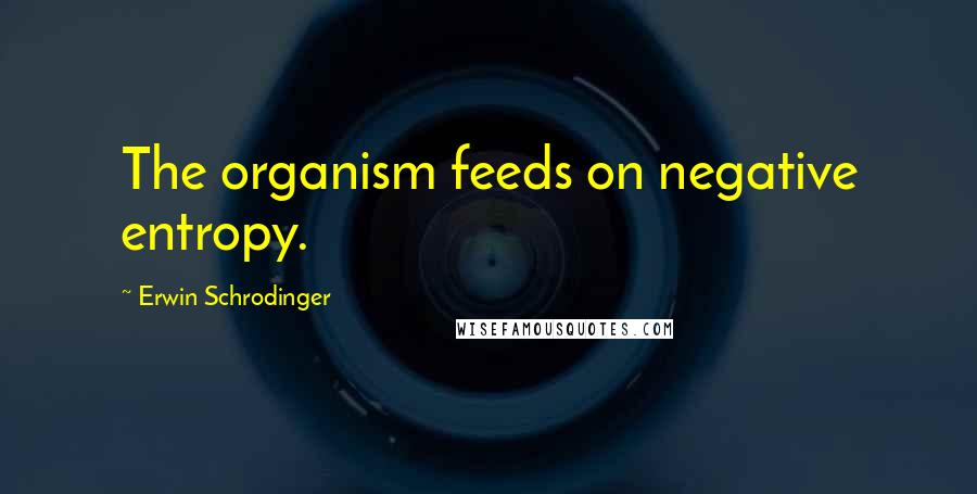 Erwin Schrodinger Quotes: The organism feeds on negative entropy.