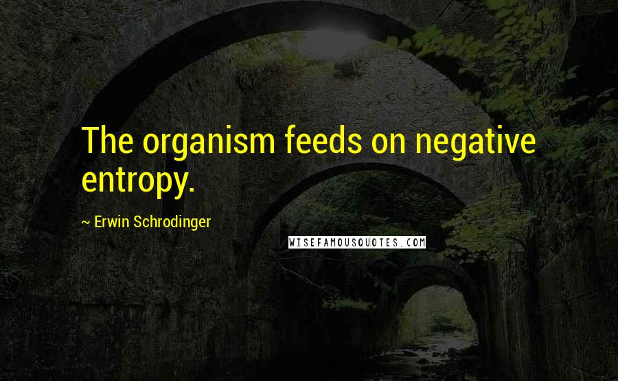 Erwin Schrodinger Quotes: The organism feeds on negative entropy.