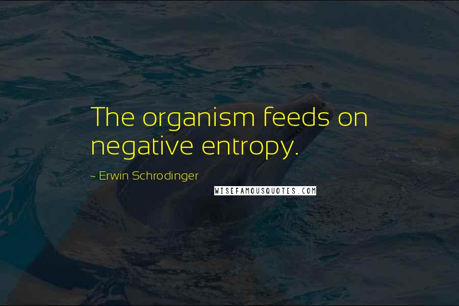 Erwin Schrodinger Quotes: The organism feeds on negative entropy.