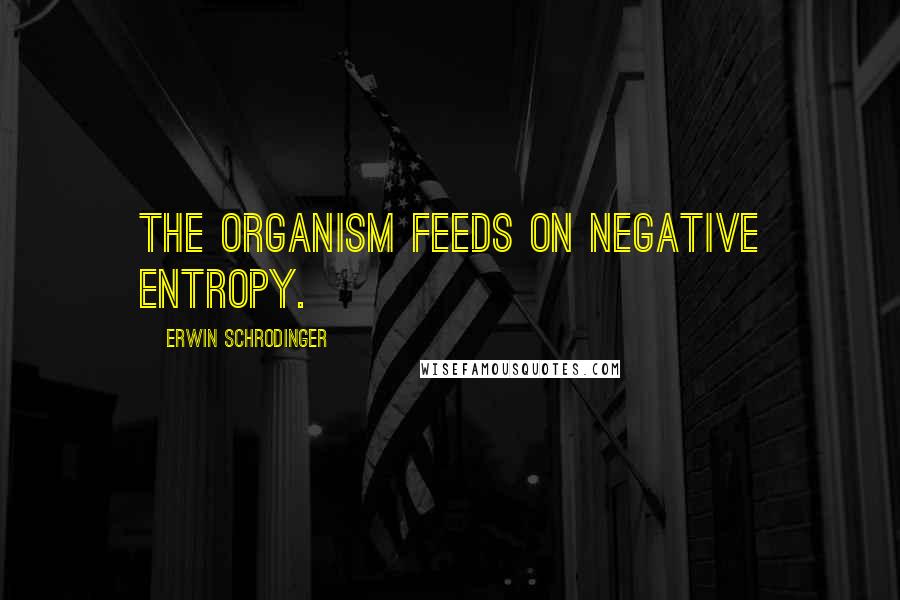 Erwin Schrodinger Quotes: The organism feeds on negative entropy.