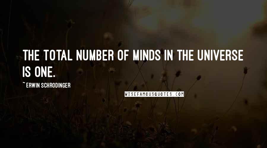 Erwin Schrodinger Quotes: The total number of minds in the universe is one.