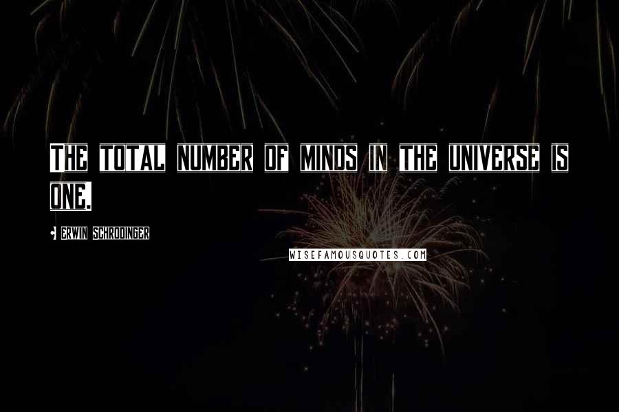 Erwin Schrodinger Quotes: The total number of minds in the universe is one.