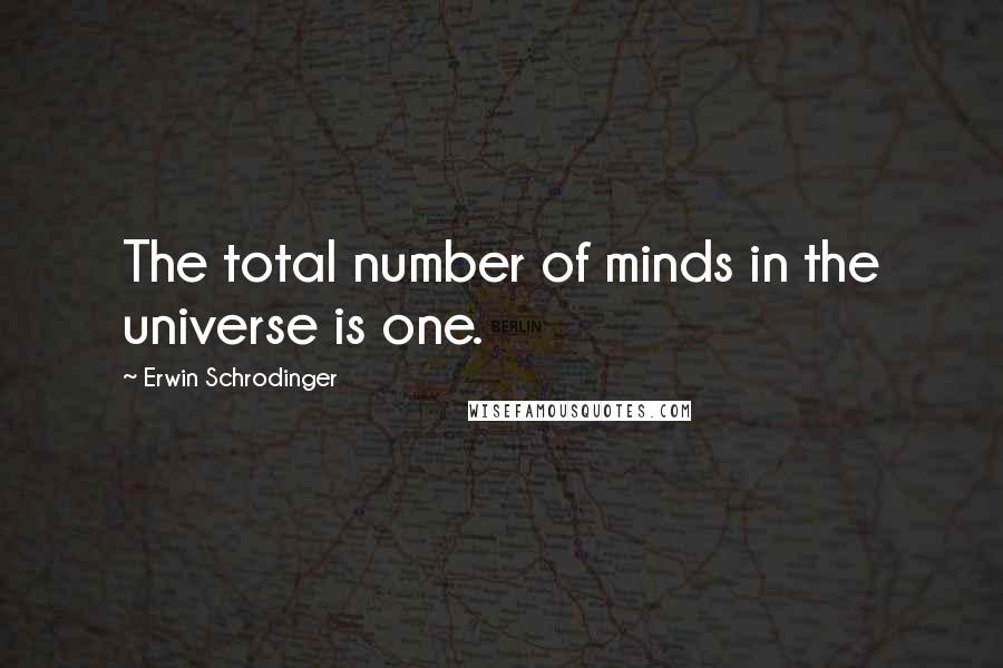 Erwin Schrodinger Quotes: The total number of minds in the universe is one.