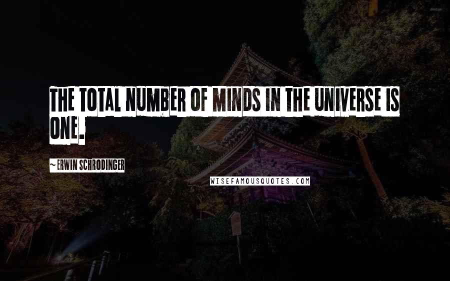 Erwin Schrodinger Quotes: The total number of minds in the universe is one.