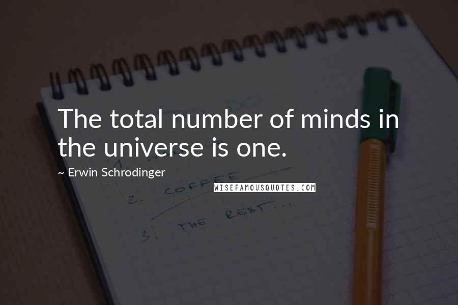 Erwin Schrodinger Quotes: The total number of minds in the universe is one.