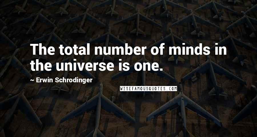 Erwin Schrodinger Quotes: The total number of minds in the universe is one.