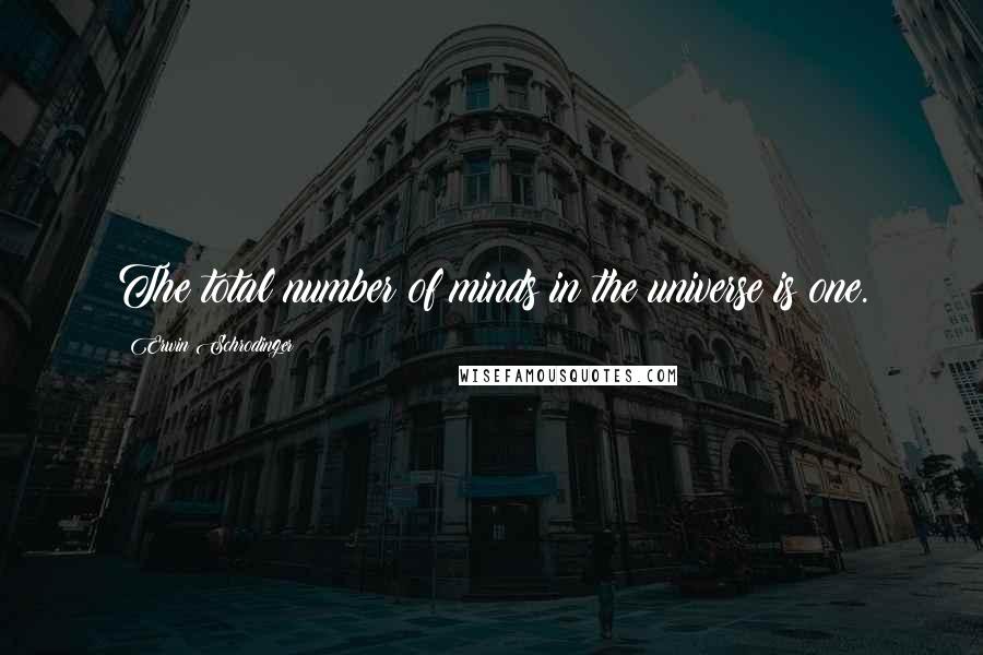 Erwin Schrodinger Quotes: The total number of minds in the universe is one.