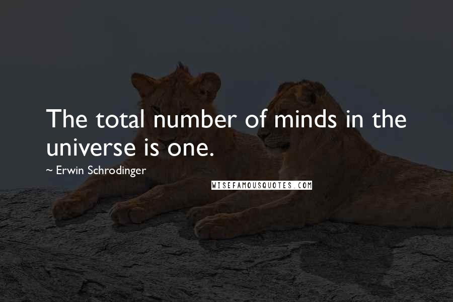 Erwin Schrodinger Quotes: The total number of minds in the universe is one.