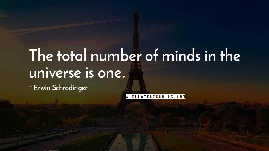 Erwin Schrodinger Quotes: The total number of minds in the universe is one.