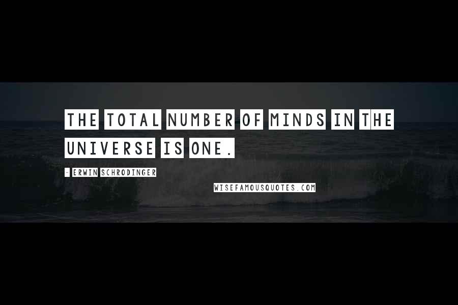 Erwin Schrodinger Quotes: The total number of minds in the universe is one.