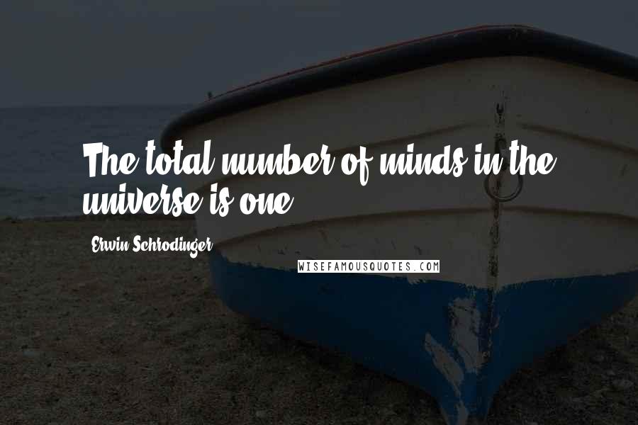 Erwin Schrodinger Quotes: The total number of minds in the universe is one.