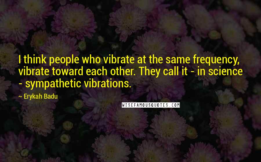 Erykah Badu Quotes: I think people who vibrate at the same frequency, vibrate toward each other. They call it - in science - sympathetic vibrations.