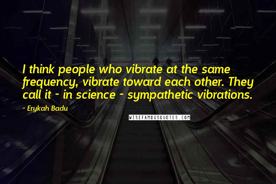 Erykah Badu Quotes: I think people who vibrate at the same frequency, vibrate toward each other. They call it - in science - sympathetic vibrations.