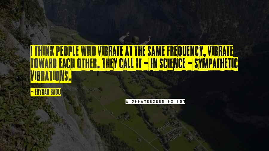 Erykah Badu Quotes: I think people who vibrate at the same frequency, vibrate toward each other. They call it - in science - sympathetic vibrations.