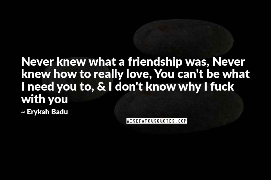 Erykah Badu Quotes: Never knew what a friendship was, Never knew how to really love, You can't be what I need you to, & I don't know why I fuck with you