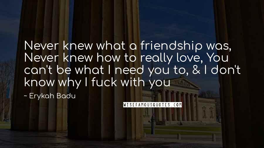Erykah Badu Quotes: Never knew what a friendship was, Never knew how to really love, You can't be what I need you to, & I don't know why I fuck with you